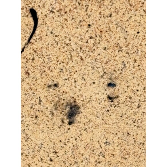 Netzi Tonala Pottery Burnished Clay Vase Hand-Painted‎ Bird Floral Motif Signed - Picture 5 of 16